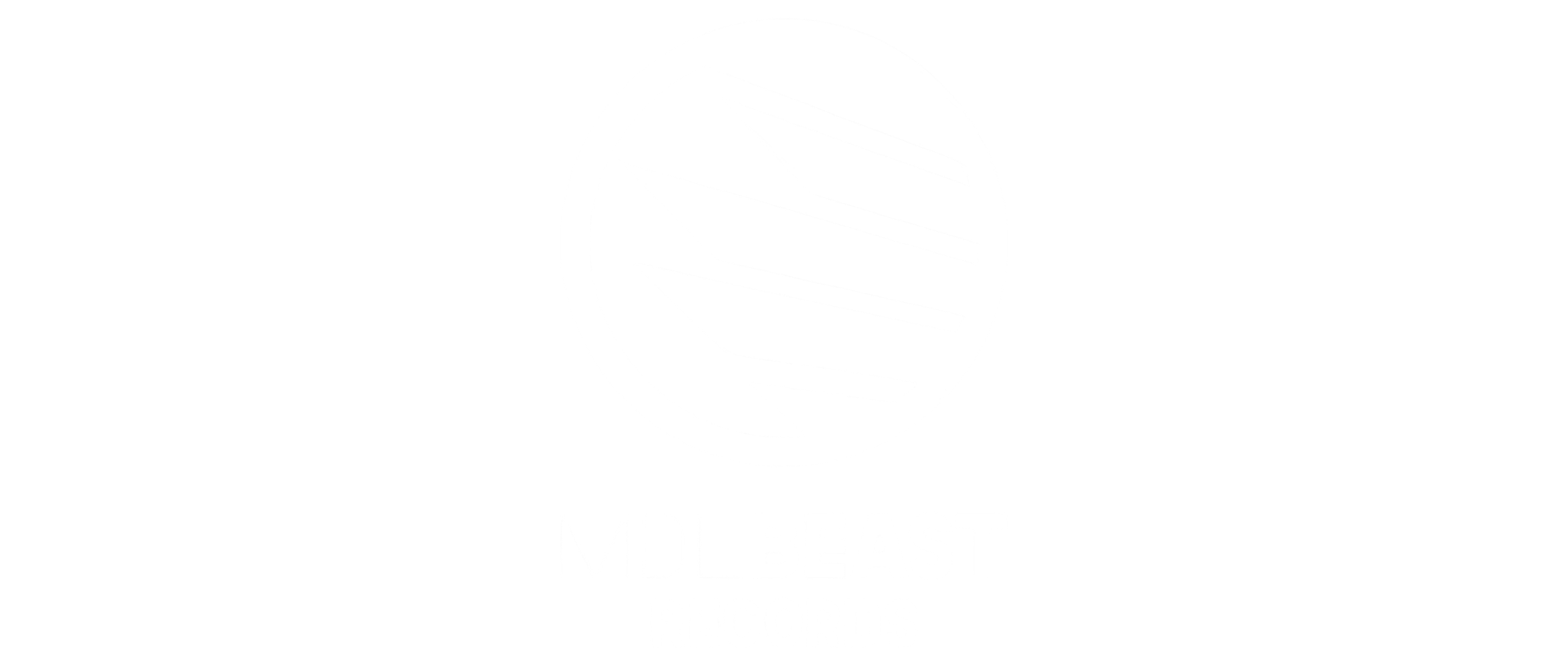 MDL Beast